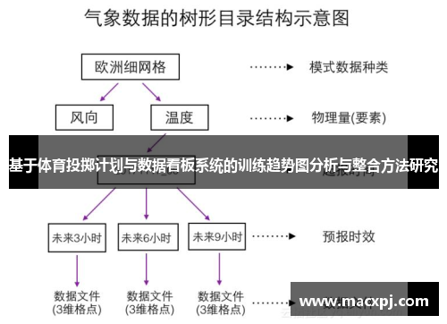基于体育投掷计划与数据看板系统的训练趋势图分析与整合方法研究