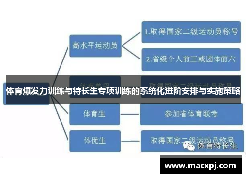 体育爆发力训练与特长生专项训练的系统化进阶安排与实施策略