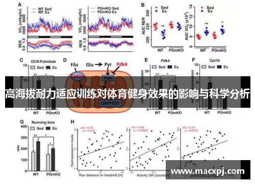 高海拔耐力适应训练对体育健身效果的影响与科学分析